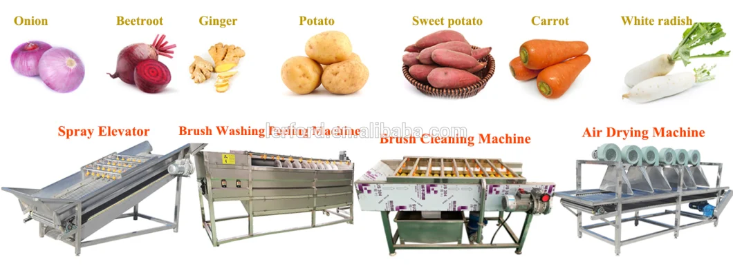Roller Brush Type Konjac Taro Potato Washing Peeling Machine Vegetable Washer