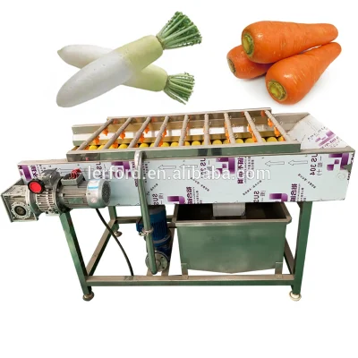 Walzenbürste Typ Konjac Taro Kartoffelwaschmaschine Schälmaschine Gemüsewaschmaschine